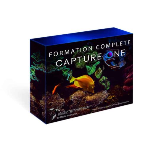 Formation Capture One Pro