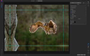 On1 Photo RAW 2022.5