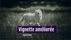 Vignette améliorée C1