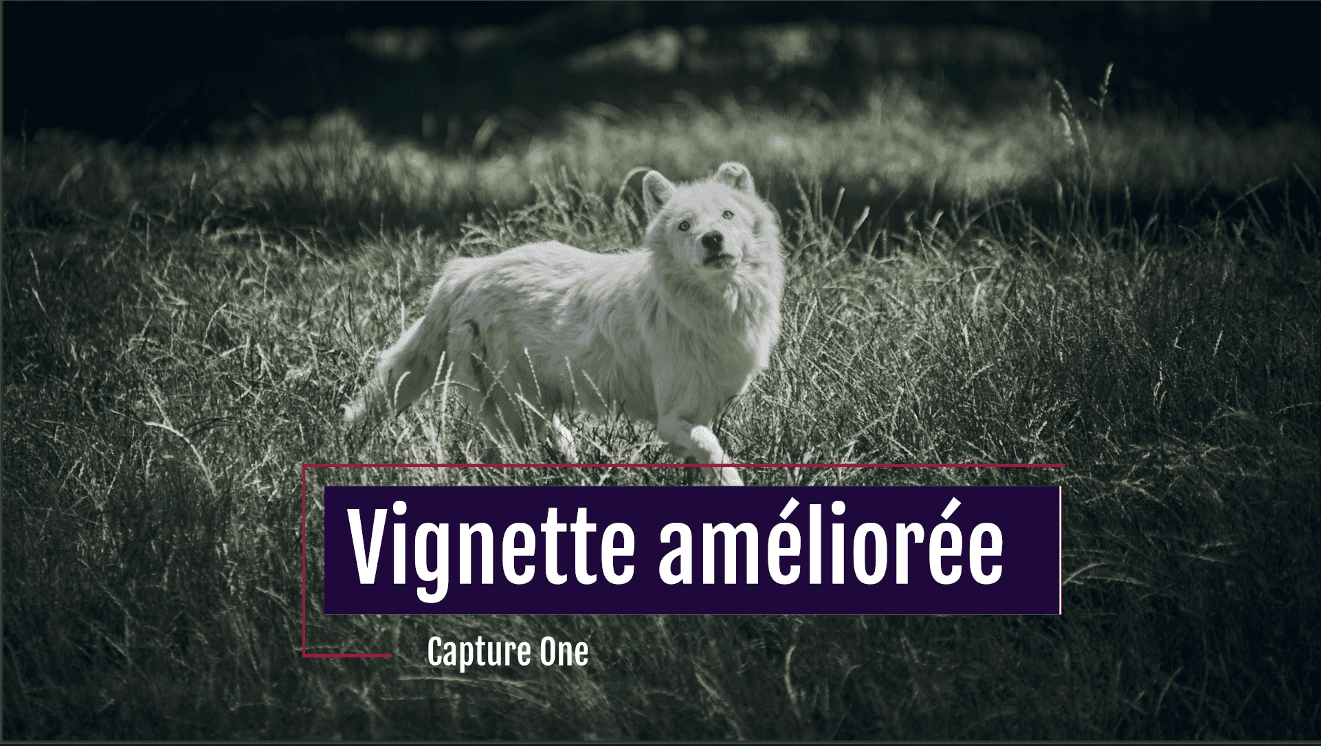 Vignette améliorée C1
