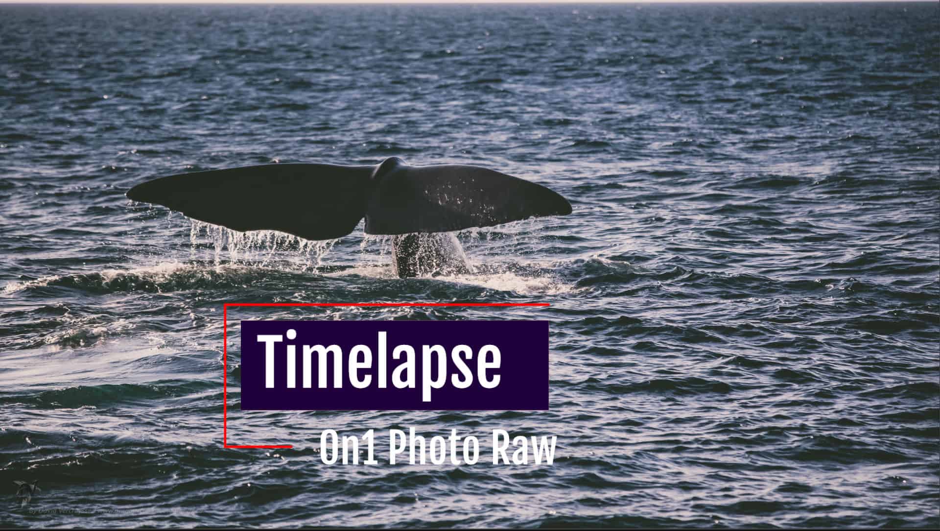 TimeLapse avec On1 Photo Raw
