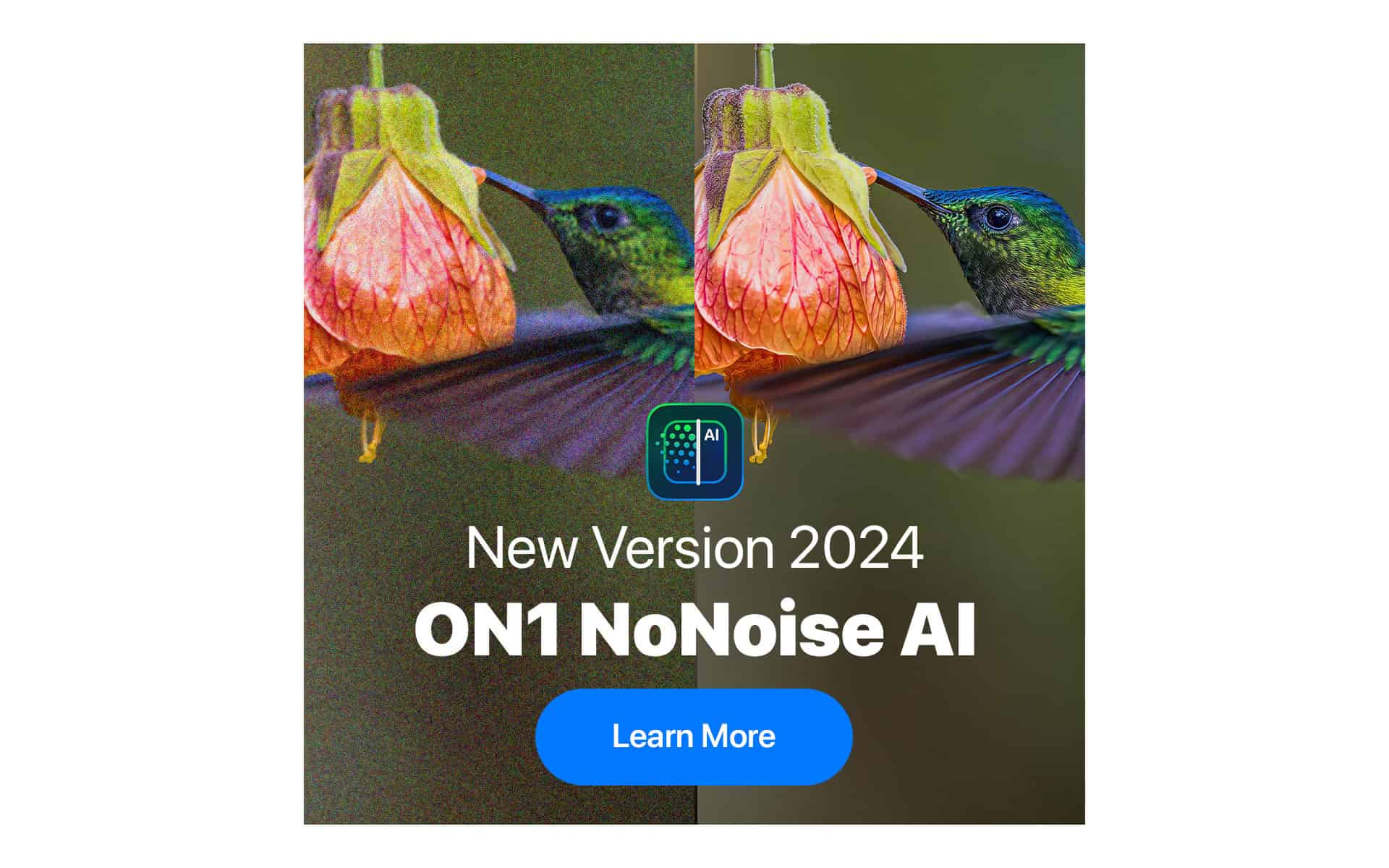 On1 NoNoise AI 2024 DRAGONSTREET PHOTOGRAPHY