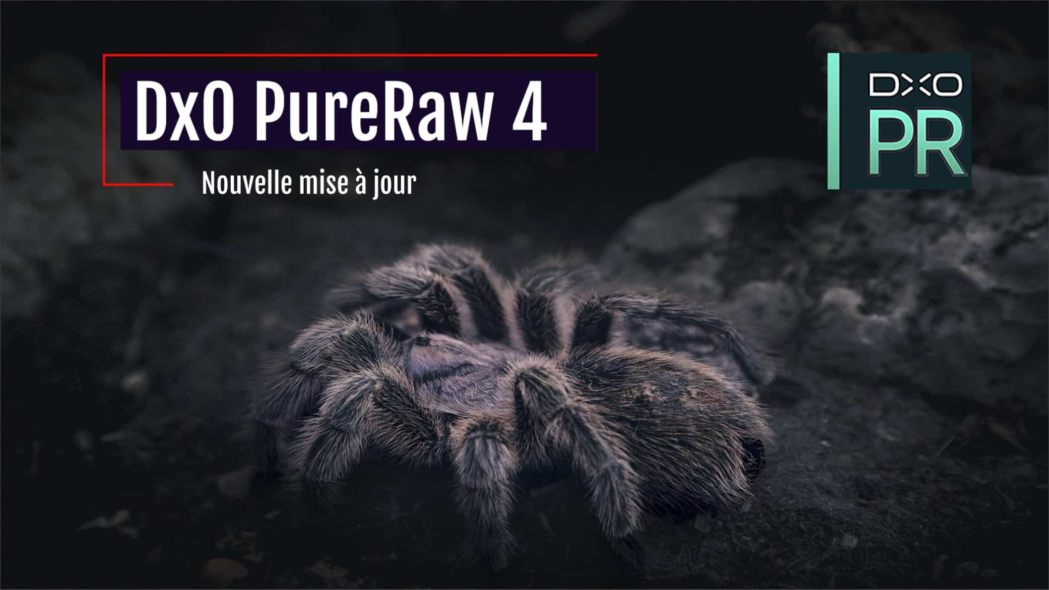 DxO PureRaw 4