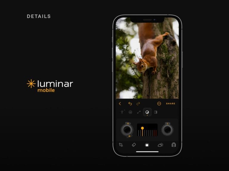 Luminar Mobile