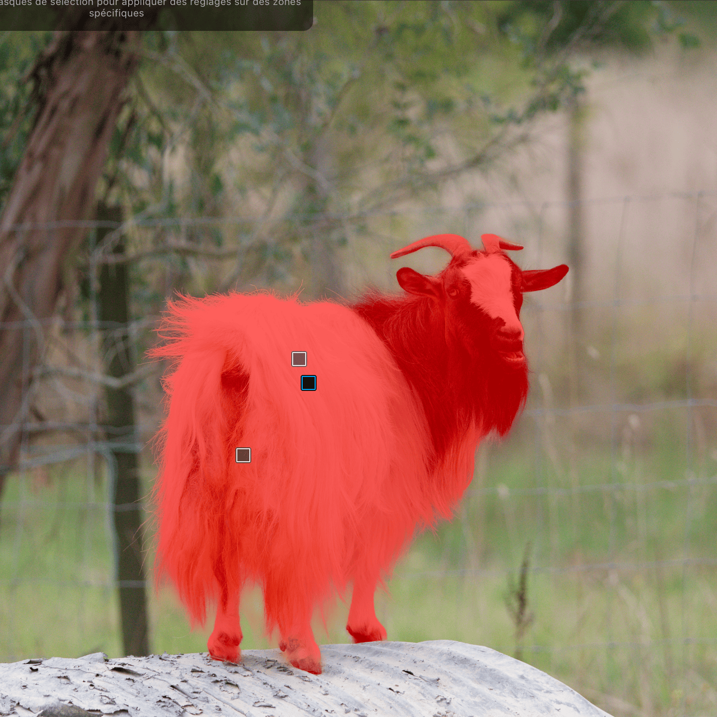 DxO PL9.2 masque IA amélioré